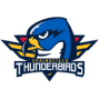 Springfield Thunderbirds