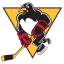 Wilkes-Barre/Scranton Penguins